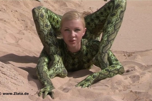 俄罗斯美女柔术写真视频NO.141